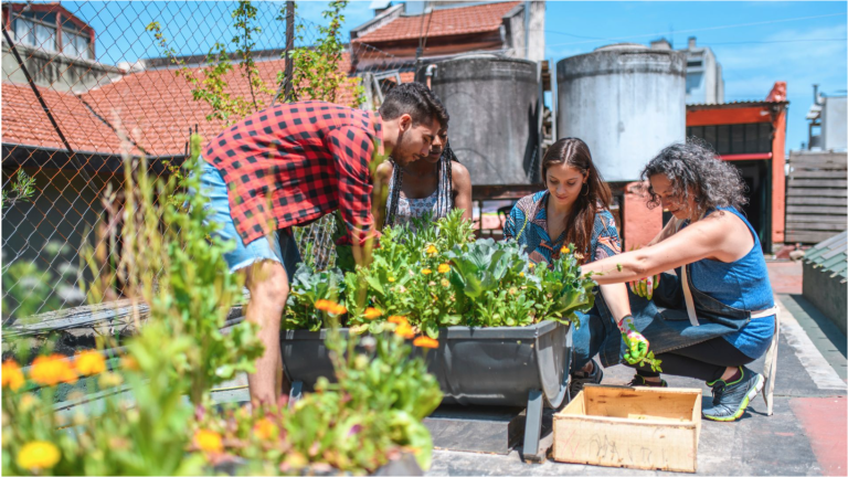 Fall DIY Gardening Tips