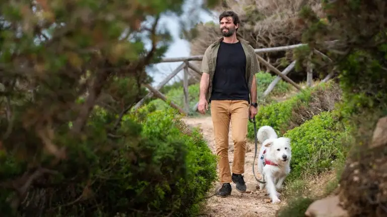 man with white dock walking thinking about Digital Product Starter strategy