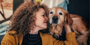 wie digitale Produkte funktionieren how digital products work woman with dog in van