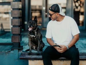 man with baseball cap and black dock sitting on steps digital product business myths, AI myths vs facts, online business myths, myths about online courses, AI myths in business, online business