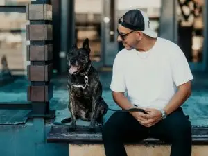 man with baseball cap and black dock sitting on steps digital product business myths, AI myths vs facts, online business myths, myths about online courses, AI myths in business, online business