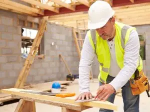 digitale produkte im handwerk Tree care professional creating digital products for tradespeople