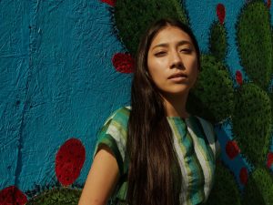 digitale Produktleiter Angebotsleiter, Produktsuite, Upsell-Pfad, Online-Verkaufssystem, Einkommensstufen digital product ladder lasting financial resilience value ladder, offer ladder, digital product suite, automated income system, recurring revenue model