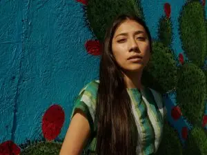 digitale Produktleiter Angebotsleiter, Produktsuite, Upsell-Pfad, Online-Verkaufssystem, Einkommensstufen digital product ladder lasting financial resilience value ladder, offer ladder, digital product suite, automated income system, recurring revenue model